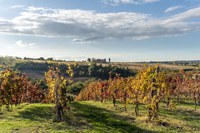 Autunno fuori dal comune