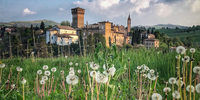 Visite guidate al Castello di Levizzano