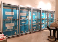 Museo Civico di Vignola "Augusta Redorici Roffi"