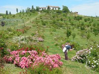 A Modena tra erbe e fiori