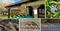 Oasi naturalistica la Francesa