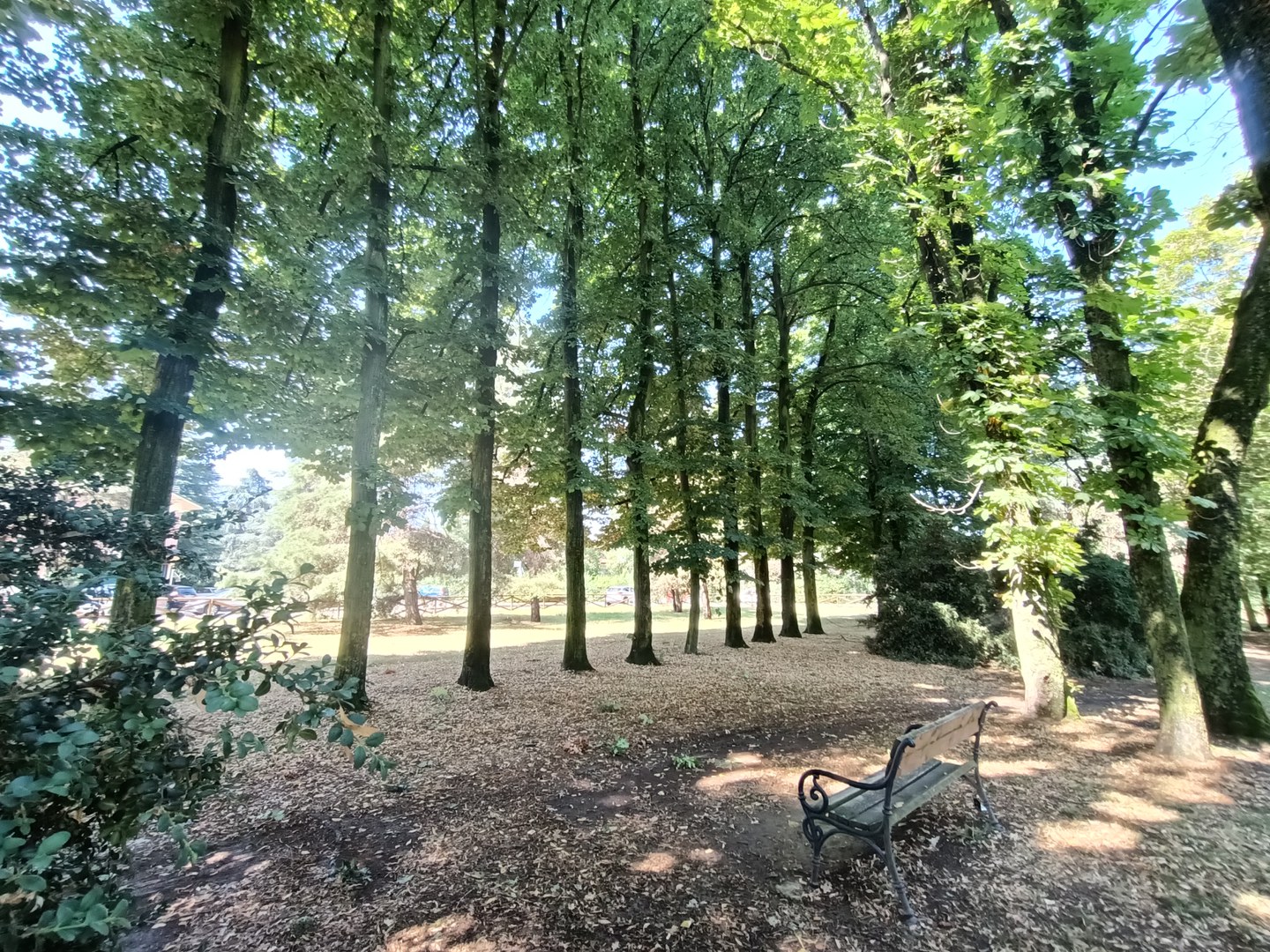 Aree verdi del Comune di Formigine tra natura e cultura: Walking tours serali