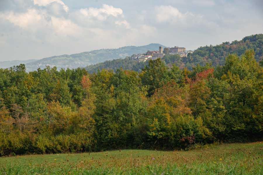 Montefiorino: La Via Bibulca da Montefiorino a Serradimigni